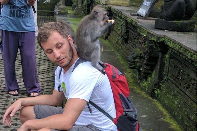 Ubud Small Group Tour: Monkey Forest, Tegalalang Rice Terraces and more - Price and value: how $20 adds up (and where you’ll spend extra)