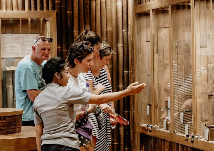 Ubud: Soul Retreat & Holistic Mantra Healing Experiences - Key highlights worth planning around