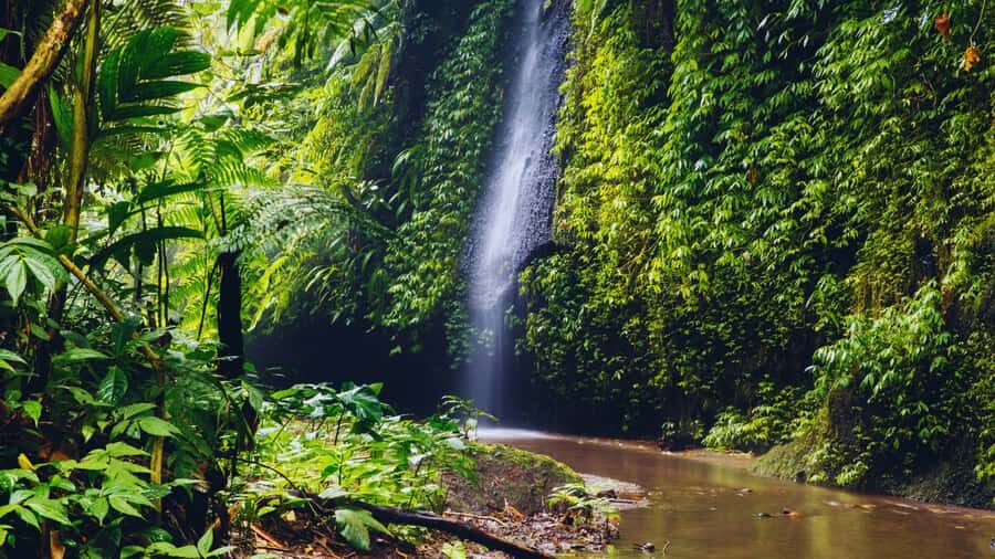 Ubud: Spectacular Waterfalls Tour - Kanto Lampo Waterfall: The Rock-Step Photo Moment