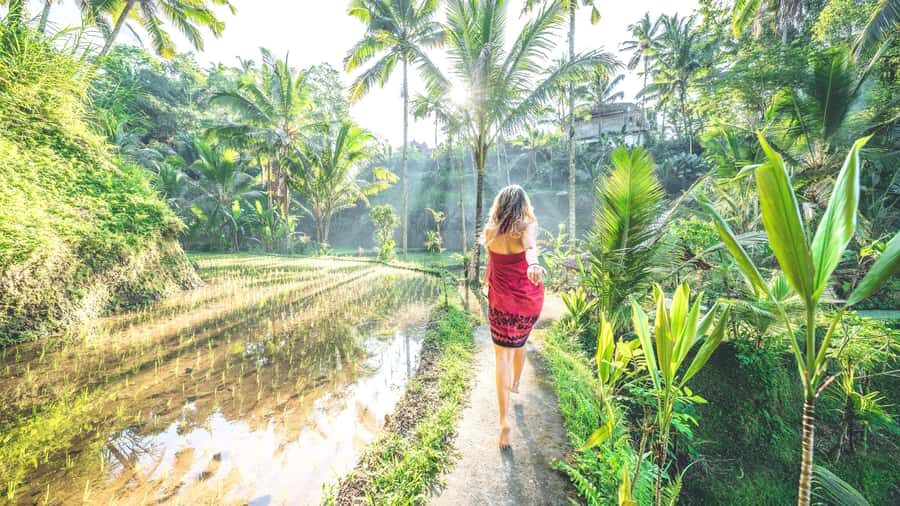 Ubud: Spectacular Waterfalls Tour - Gunung Kawi Sebatu Temple: Peaceful Culture Without the Loud Feeling