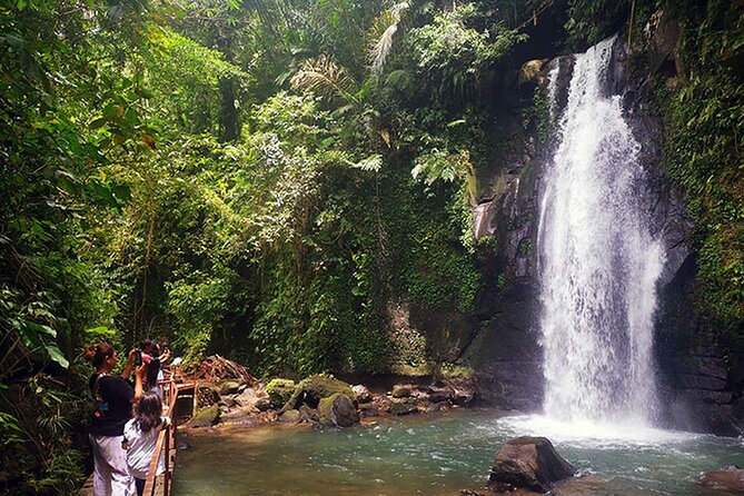 UBUD Spring Temple, Waterfall, Rice Terraces Private Tour - How this private Ubud route saves you from the usual Bali hassle