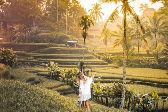 UBUD Spring Temple, Waterfall, Rice Terraces Private Tour - Stop 3: Ulu Petanu Waterfall for a quieter splash