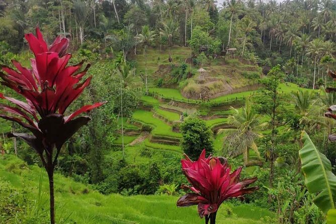 UBUD Spring Temple, Waterfall, Rice Terraces Private Tour - Stop 4: Tirta Empul Temple (what cleansing feels like here)