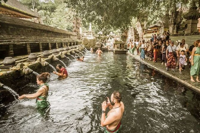 UBUD Spring Temple, Waterfall, Rice Terraces Private Tour - Price and value: is $129.99 per person worth it?
