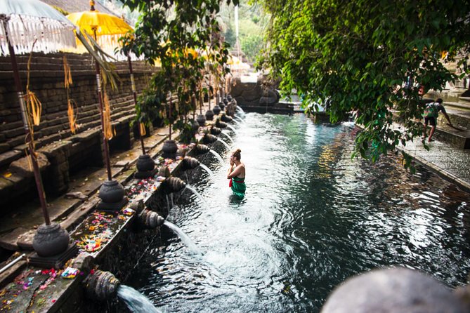 Ubud Surounding Tour - Price and logistics: what $63 really buys you