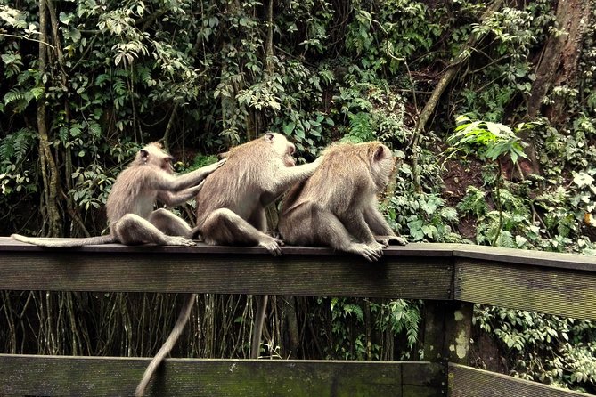 Ubud Surounding Tour - Tirta Empul Temple: holy spring purification and temple etiquette