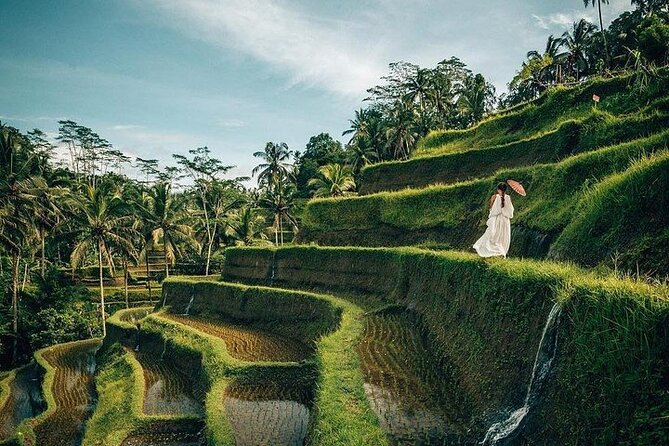 Ubud: Swing - Monkey Forest - Waterfall - Temple - Rice Terraces - Art Crafts - How the $33 Price Really Works (And What You Still Pay)