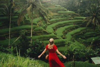 Ubud: Swing - Monkey Forest - Waterfall - Temple - Rice Terraces - Art Crafts - Pickup, Comfort, and Why Private Matters in Ubud