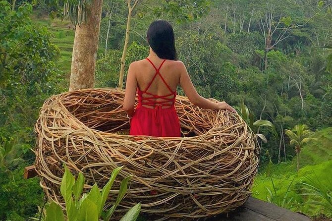 Ubud: Swing - Monkey Forest - Waterfall - Temple - Rice Terraces - Art Crafts - Stop 4: Tirta Empul Temple—Purification at the Holy Spring Water