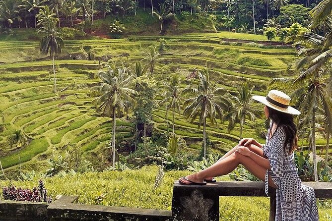 Ubud: Swing - Monkey Forest - Waterfall - Temple - Rice Terraces - Art Crafts - Stop 5: My Swing Bali—Jungle Canopy Photos Without the Stress