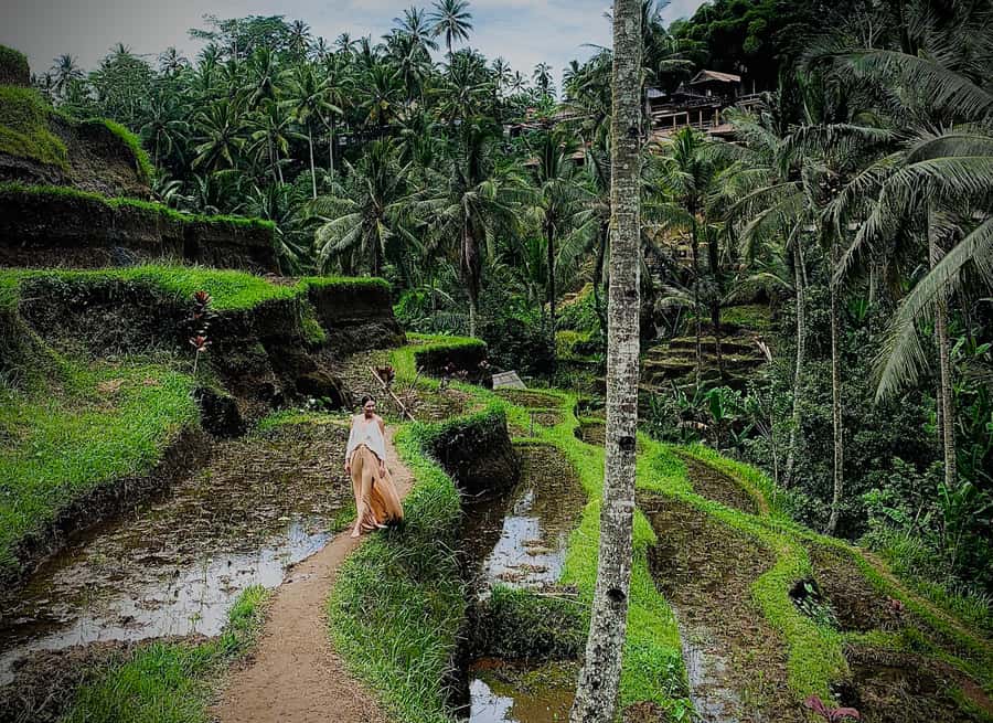 Ubud: Tegalalang Rice Terrace Photos Tour with Swing Ticket - Quick Highlights