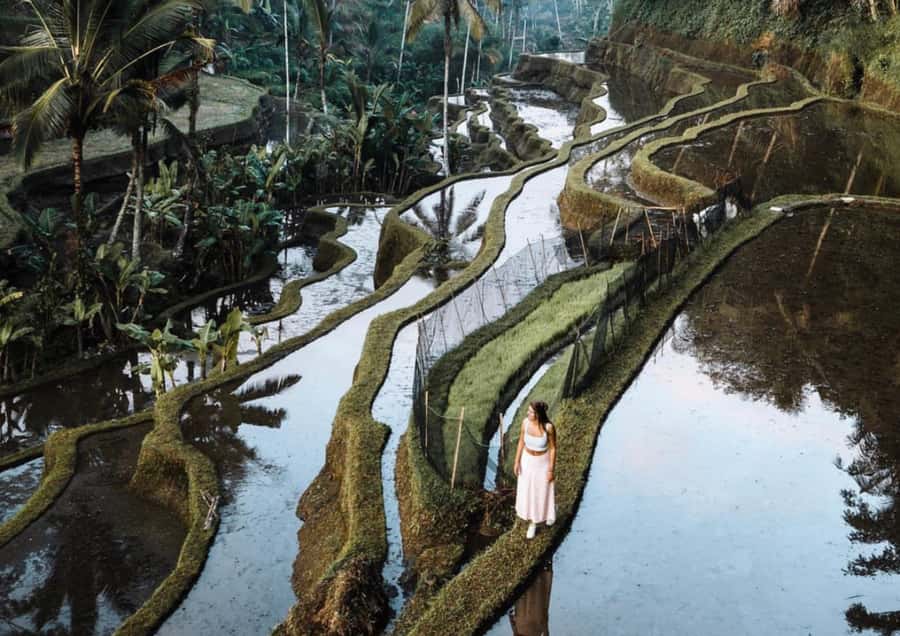Ubud: Tegalalang Rice Terrace Photos Tour with Swing Ticket - How the day runs: 2 to 6 hours, with smart add-on choices