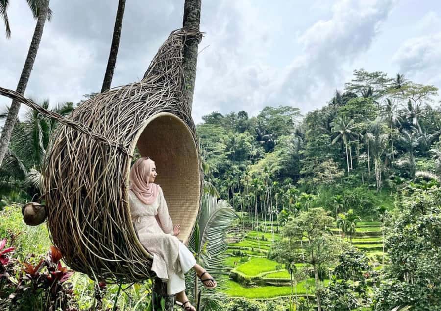 Ubud: Tegalalang Rice Terrace Photos Tour with Swing Ticket - What to bring (because the ground and weather do not play)