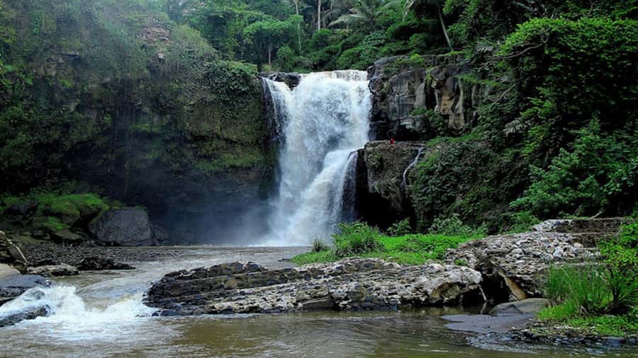 Ubud: Tegenungan Waterfall, Snorkeling, and Canyoning Tour - Beji Guwang Hidden Canyon Canyoning: Trek, Jump, and the Moment You Stop Thinking