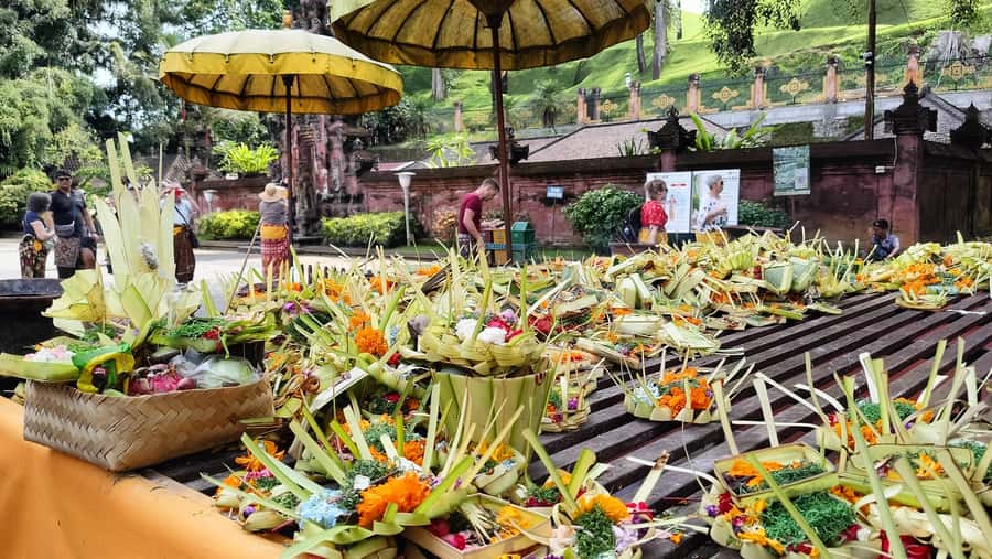 Ubud: Tirta Empul, Rice Terrace, Waterfall and Custom Tour - Key things I’d notice first