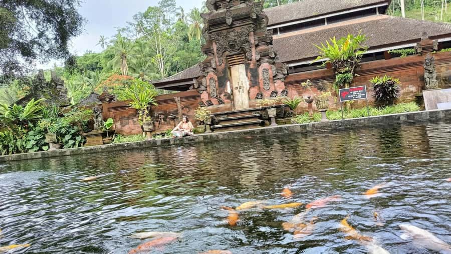 Ubud: Tirta Empul, Rice Terrace, Waterfall and Custom Tour - Why this Ubud day feels worth the price