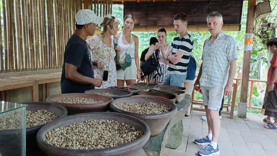 Ubud: Tirta Empul, Rice Terrace, Waterfall and Custom Tour - Tirta Empul Temple: skip-the-line and the melukat ritual