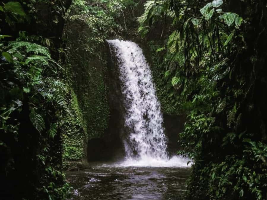 Ubud: Tirta Empul Water Purification Ritual, Private Tour - Tirta Empul Purification: The Spiritual Core of the Day