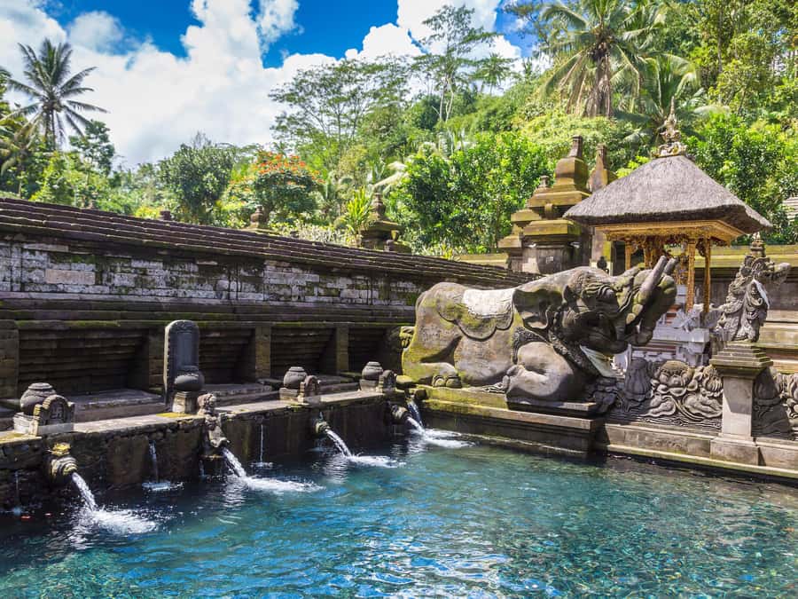 Ubud: Tirta Empul Water Purification Ritual, Private Tour - Manuaba Waterfall: The Quieter Nature Reset