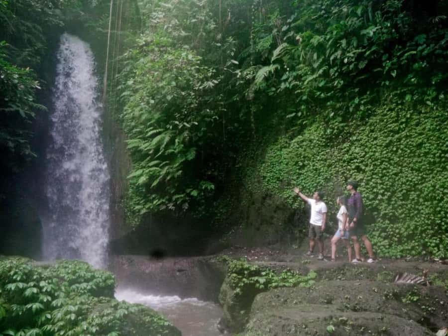 Ubud: Tirta Empul Water Purification Ritual, Private Tour - Ubud Coffee Tasting: A Simple Local Stop Worth the Hour