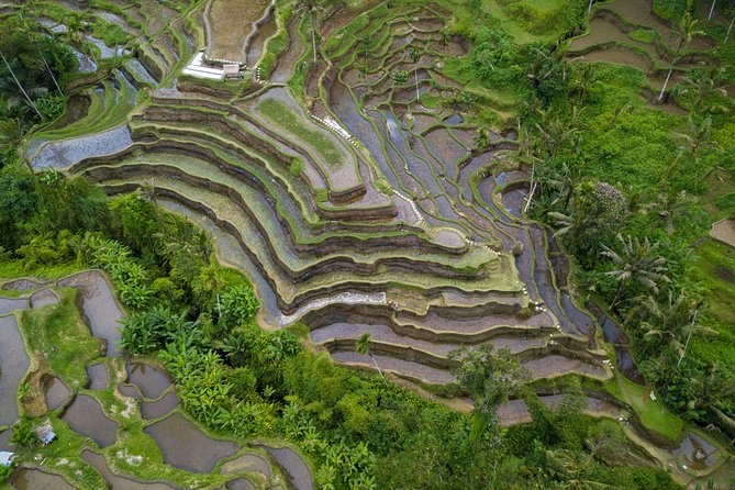 Ubud Top Attractions: Waterfalls, Temples and Rice Terraces - Tibumana Waterfall: stairs down, then cool water time