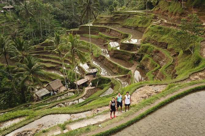 Ubud Top Attractions: Waterfalls, Temples and Rice Terraces - d’Alas Swing over the jungle valley: big frames, big fun