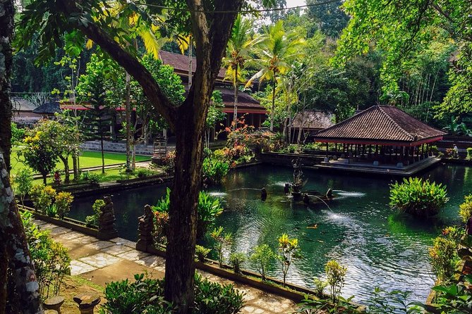Ubud Top Attractions: Waterfalls, Temples and Rice Terraces - Tegalalang Rice Terrace: a short trek that shows how farming works