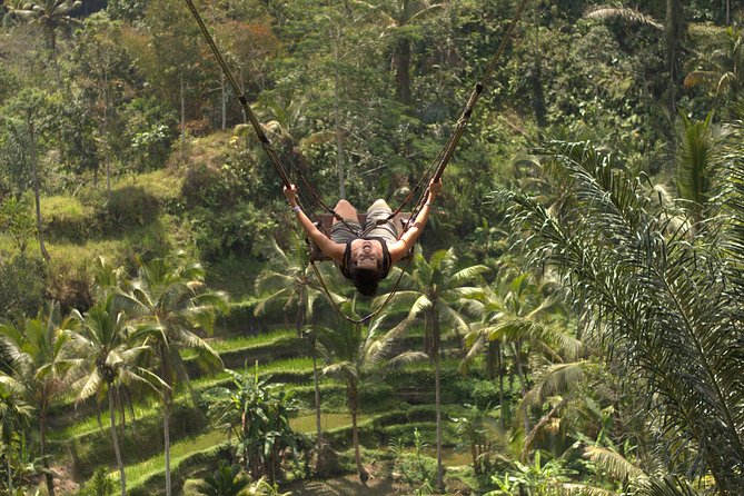 Ubud Top Attractions: Waterfalls, Temples and Rice Terraces - Lunch at D’Alas Warung: your reset break with a valley view