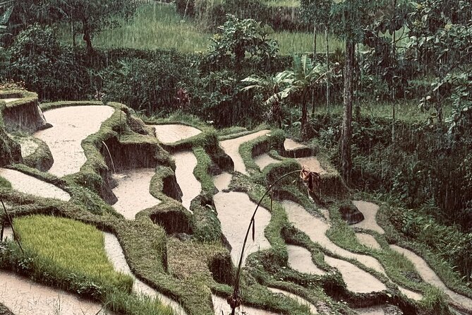 Ubud Top Tours to Discover Bali’s Cultural and Natural Wonders - Key highlights worth planning for