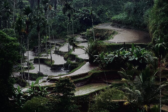 Ubud Top Tours to Discover Bali’s Cultural and Natural Wonders - Yasana’s gold & silver Balinese house: heritage you can walk through