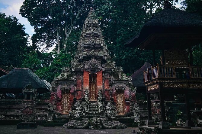 Ubud Top Tours to Discover Bali’s Cultural and Natural Wonders - Pakudui Village and Tegalalang rice terraces: panoramic views with real farming context