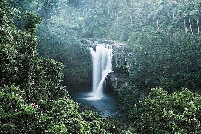 Ubud Top Tours to Discover Bali’s Cultural and Natural Wonders - Tirta Empul temple: sacred spring water and carved-stone details