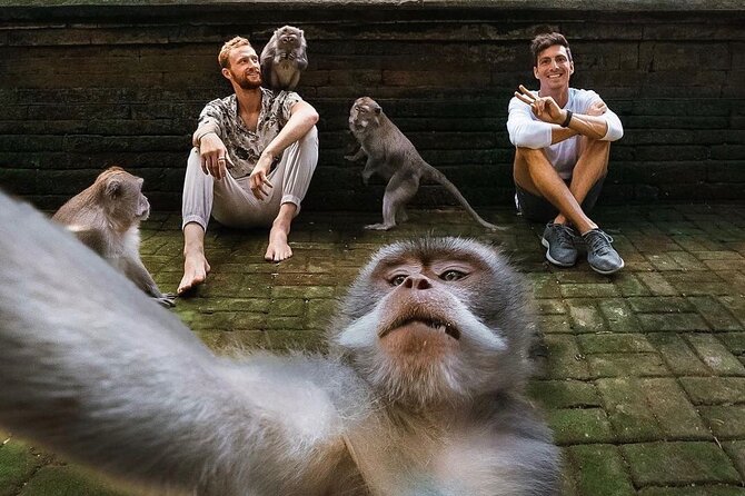 Ubud Tour-All Inclusive with Jungle Swing And Lunch - Celuk Village (Silver and Crafts): Handmade Jewelry and Local Workshops