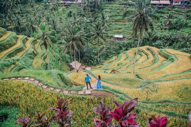Ubud Tour - Best of Ubud - All Inclusive - What you really get for $90 per person