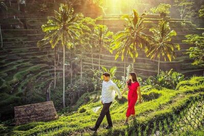 Ubud Tour : Best of Ubud with All inclusive - Price and logistics: what you’re actually paying for ($62 all-in)
