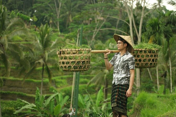 Ubud Tour : Best of Ubud with All inclusive - Sacred Monkey Forest Sanctuary: seeing macaques without making it weird