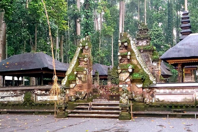Ubud Tour - Best Of Ubud With Jungle swing - All Inclusive - Tirta Empul Temple: sacred spring water, respectful pace