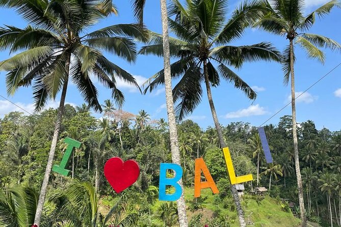 Ubud Tour - Highlight of Ubud - Traditional Tour - Why this private Ubud tour beats self-driving on your own