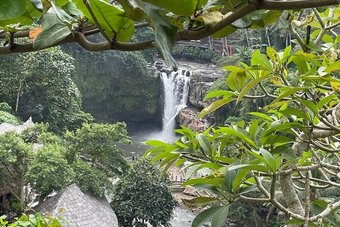 Ubud Tour - Highlight of Ubud - Traditional Tour - Sacred Monkey Forest Sanctuary: enjoy the animals, keep it safe