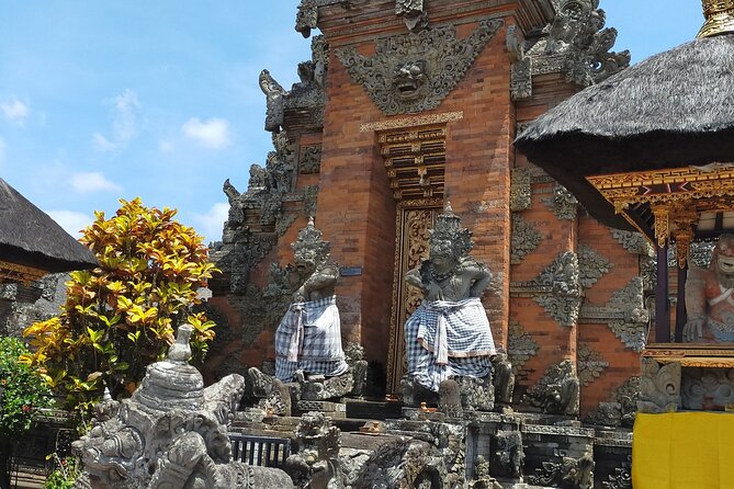 Ubud Tour - Highlight of Ubud - Traditional Tour - Tegalalang Rice Terrace: seeing farming, not just views