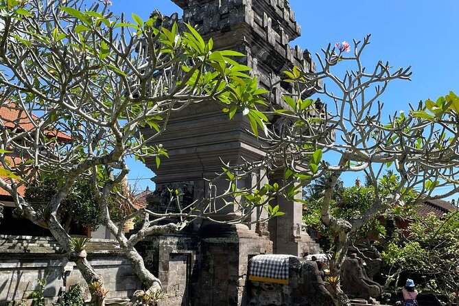 Ubud Tour - Highlight of Ubud - Traditional Tour - Tirta Empul Temple: holy water and a serious sacred setting