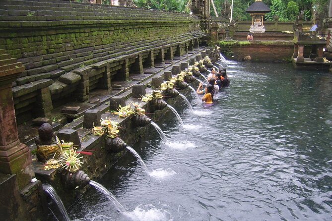 Ubud Tour : Monkey forest, Rice terrace, Water temple, Waterfall & Jungle Swing - What This Ubud Tour Is Best At (And What It Isn’t)