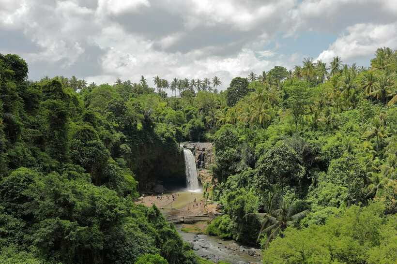 Ubud Tour Monkey Forest Rice Terraces Bali Swing Tirta Empul - Tegallalang Rice Terraces and the Subak Irrigation System