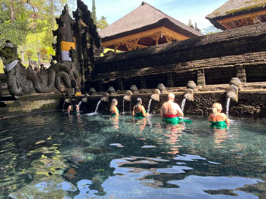 Ubud Tour Monkey Forest Rice Terraces Bali Swing Tirta Empul - Tirta Empul Temple: Water-Spring Purification With a Long Queue