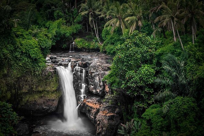 Ubud Tour: Monkey forest, rice terraces, temple, waterfall - Stop 2: Goa Gajah (Elephant Cave) temple complex without rushing