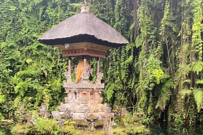 Ubud Tour - Ubud Highlight Culture, Tradition, Nature - Key Things You’ll Love About This Ubud Highlights Day