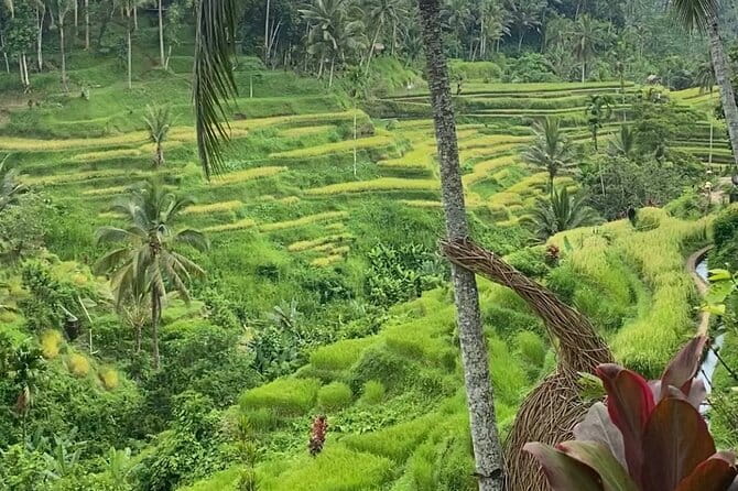 Ubud Tour - Ubud Highlight Culture, Tradition, Nature - Private Pickup From Kuta, Then Your Guide Becomes the Day’s Producer