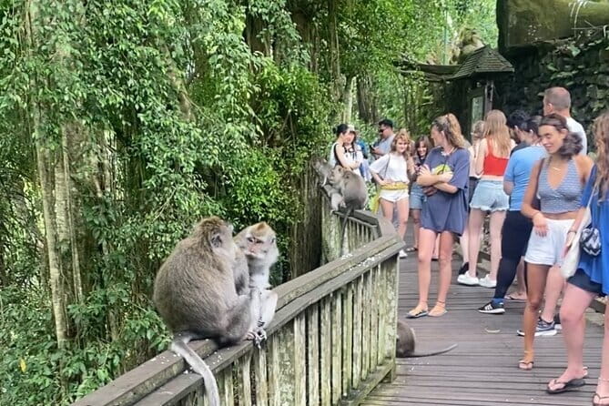 Ubud Tour - Ubud Highlight Culture, Tradition, Nature - Monkey Forest Safety First, Not Just Photos