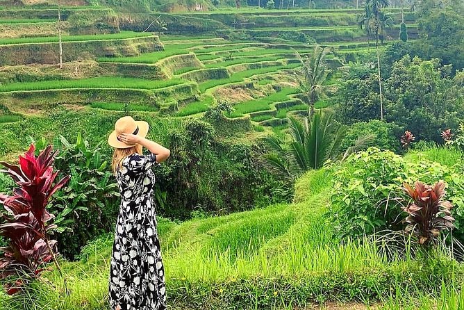 Ubud Tour - Ubud Highlight - Private Tour All inclusive - Why This Private Ubud Day Tour Works for First-Timers