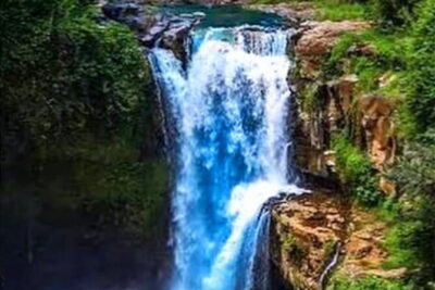 Ubud Tour with all includes - Pickup, private driver-guide, and why it changes everything